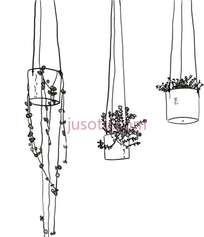 悬挂植物,hanging plants line PNG