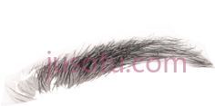 眉毛化妆PNG