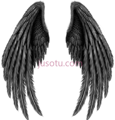 黑天使,asa black angel wings PNG