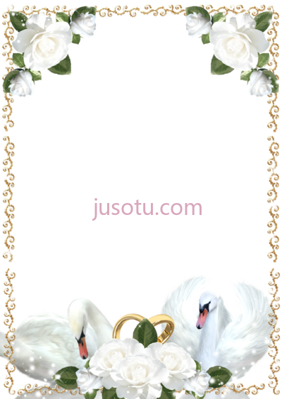 婚礼玫瑰天鹅白边框,wedding roses and swans white PNG