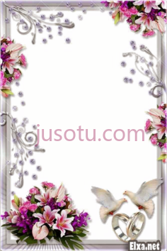 婚礼,框架 PNG