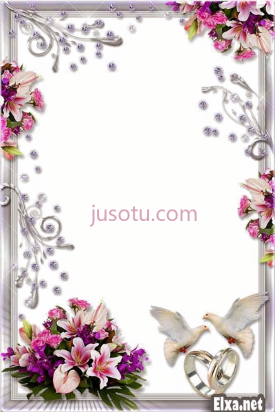 婚礼,wedding PNG