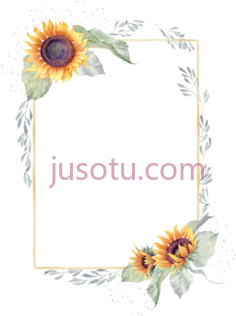 太阳花边框PNG