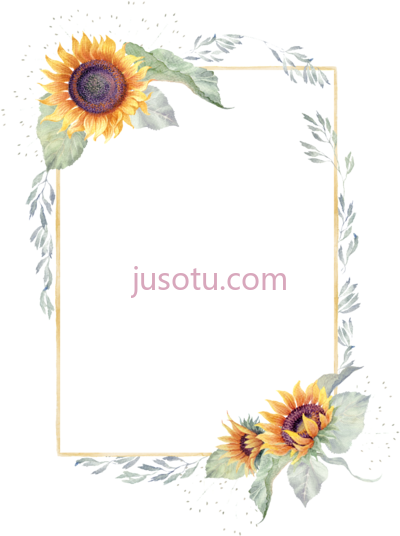 太阳花边框,sun border PNG