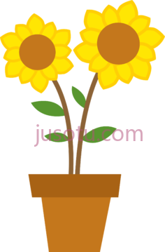 向日葵,花 PNG