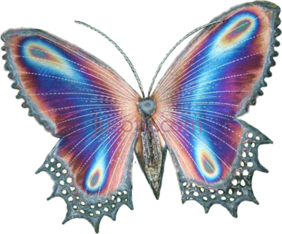 蝴蝶,butterflies wings PNG