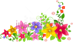 花饰花卉PNG