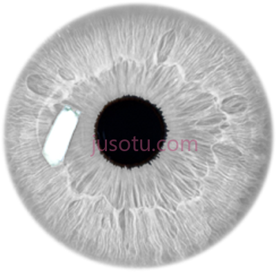 眼透镜,grey filter toed eye lens PNG