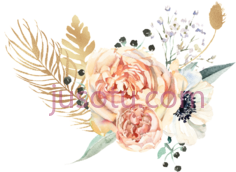 橙色水彩花, PNG