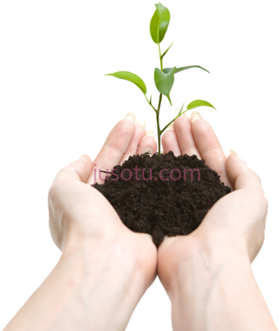 土壤植物,soil in hands plant PNG