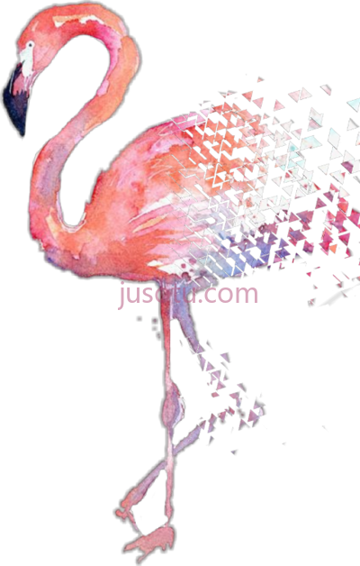 火烈鸟水彩画,flamingo water painting poster PNG