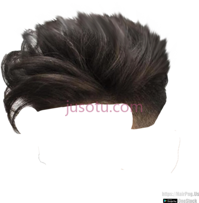 头发,wig in page trump best style PNG