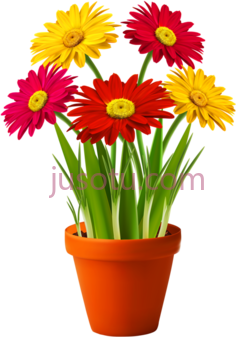 花盆盆栽PNG
