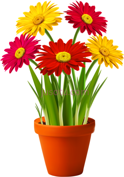 花盆盆栽,floral pots potted good PNG