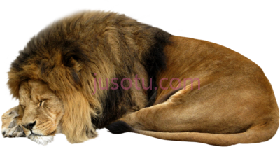 睡狮子,lion sleeping PNG