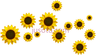 向日葵,trend crown doodles m girassol PNG