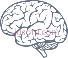 大脑PNG