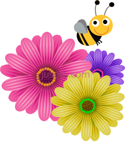 花,corner PNG
