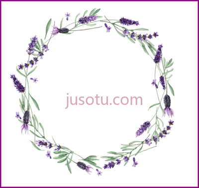 薰衣草,lavender huge PNG