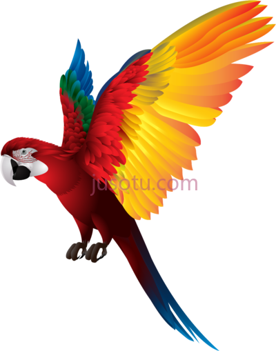 鸟,birds PNG