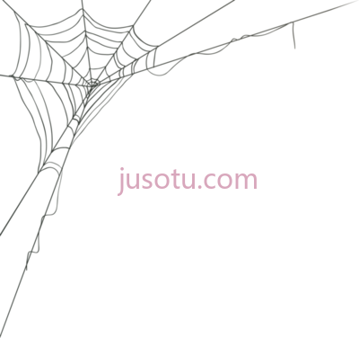 蜘蛛网,spider web corner PNG