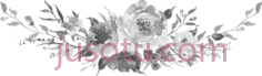 黑白花, PNG