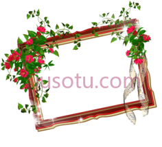 婚礼,框架 PNG