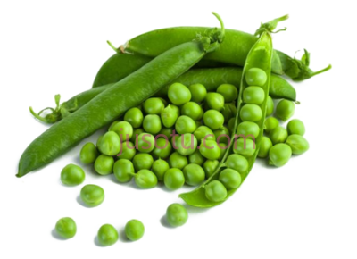 鲜青豌豆,fresh green peas PNG