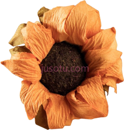太阳花,sun yellow vintage arthoe PNG