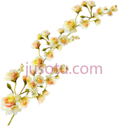 绿蔷薇PNG