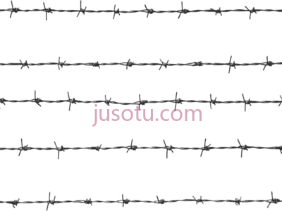 铝铁丝网,aluminum wires barbed fence PNG