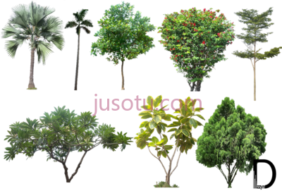 园林树木,landscape trees PNG