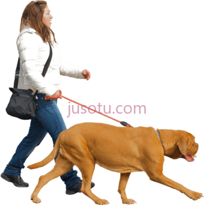 女人遛狗,royal squad kennel people walking dog PNG