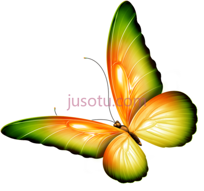 花蝴蝶,butterflies butterfly PNG