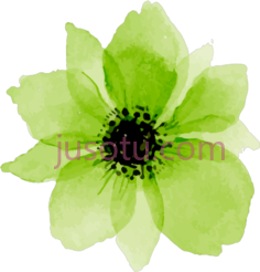 绿色水彩花,flower PNG