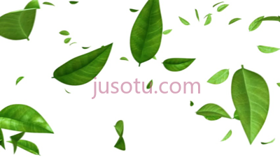 绿叶飘落,green leaves falling PNG