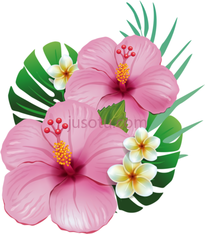 夏威夷树,these hawaiian trees flores moana PNG