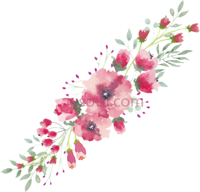 水彩花,watercolor flower lace floral PNG