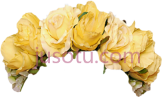 花,王冠 PNG