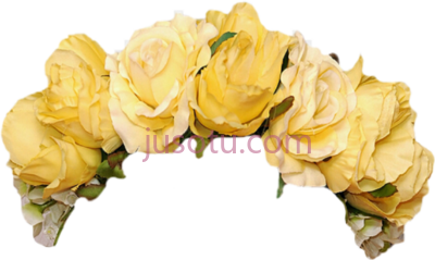 花,flower PNG