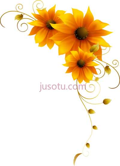 向日葵,beautiful sunflowers yellow floral border PNG