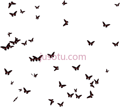 蝴蝶,butterflies PNG