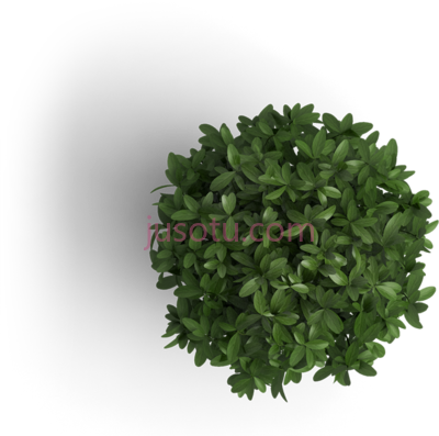 树顶,ios android mobile app developer singapore plants PNG