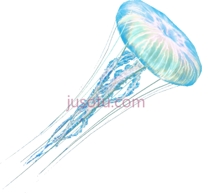 水母,jellyfish PNG