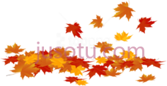 秋叶PNG