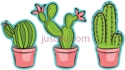 小仙人掌,cactus little PNG