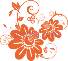 花, PNG