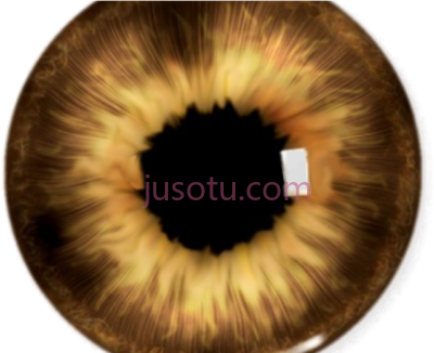 棕黄色眼睛,brown yellow eye lenses PNG