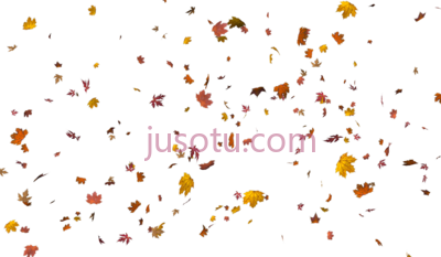 树叶,leaves PNG
