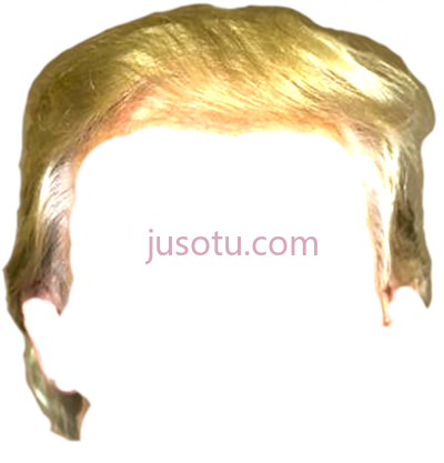 头发,trump hair PNG